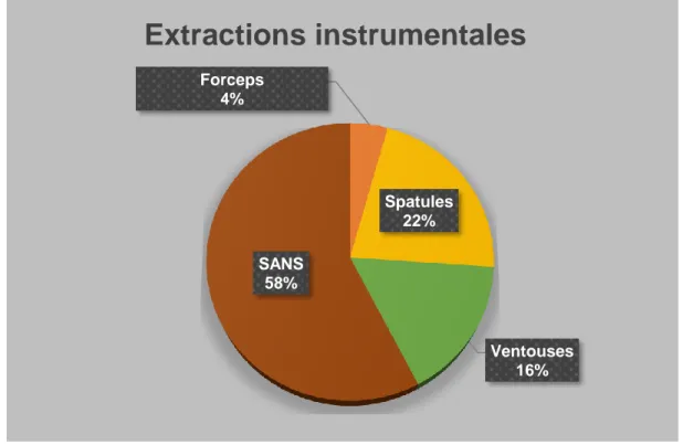 Figure 5 Diagramme en secteur des proportions d'extractions instrumentales 