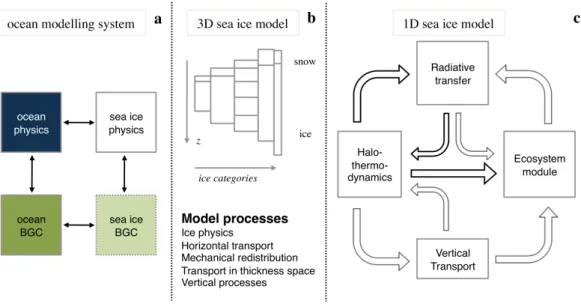 Figure 4. Organigram of (a) a standard ocean modelling system; (b) a typical three-dimensional  sea ice model; (c) a one-dimensional sea ice model with an ecosystem component