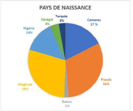 Figure 1 : Répartition des pays de naissance 