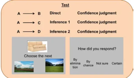 Figure 11. Timing as for training; for confidence judgment: the four judgment’s possibilities were presented for 2  sec and then when the “how did you respond?” banner appeared participants had 6 sec to make a decision  