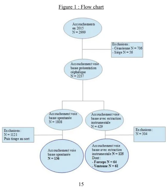 Figure 1 : Flow chart