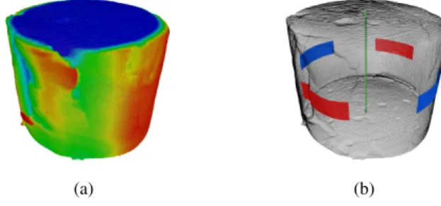 Figure 7. Illustration of the radius measurements on sample 10-1. (a) shows the interface points colored by radius, the colormap, from blue to red, is centered around the average radius