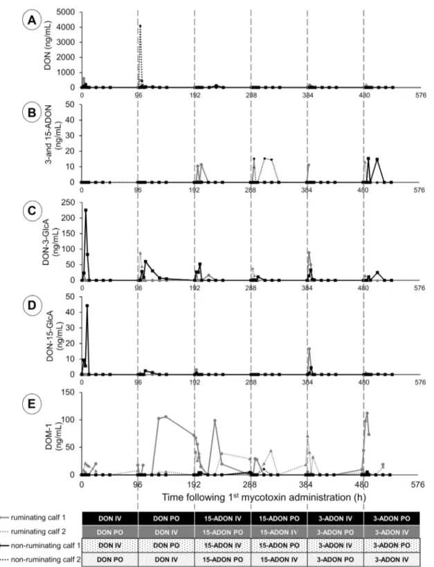 Fig. 5    Urine concentration–time profile of deoxynivalenol (DON),  sum of acetylated derivatives (3- and 15-ADON),  deoxynivalenol-3-glucuronide (DON-3-GlcA), deoxynivalenol-15-glucuronide  (DON-15-GlcA), and deepoxy-deoxynivalenol (DOM-1) after  con-sec