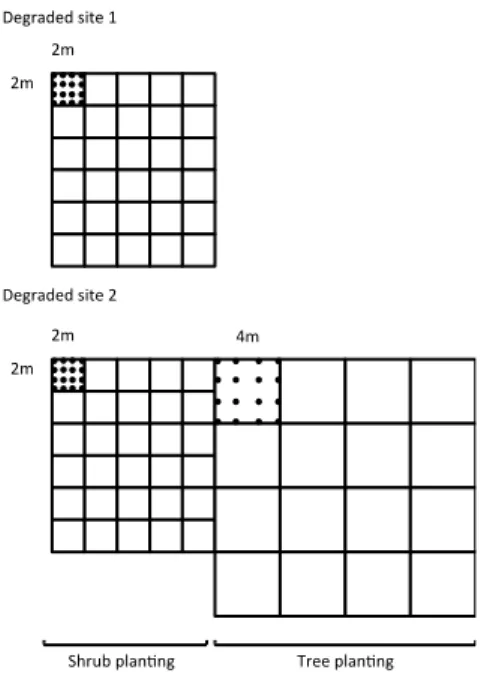 Figure 1: sketch of the experimental design: two sites were assigned to shrub transplantation