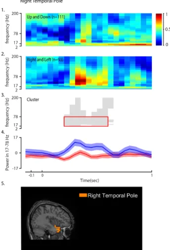 Figure 3: Right lingual gyrus during target cue. The number n  represents the number of trials pooled for the condition from  all subjects