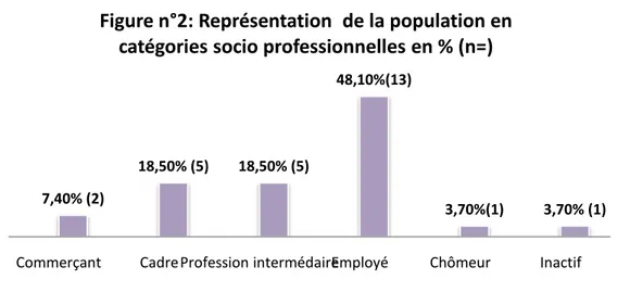 Figure n°2: Représentation  de la population en  catégories socio professionnelles en % (n=)