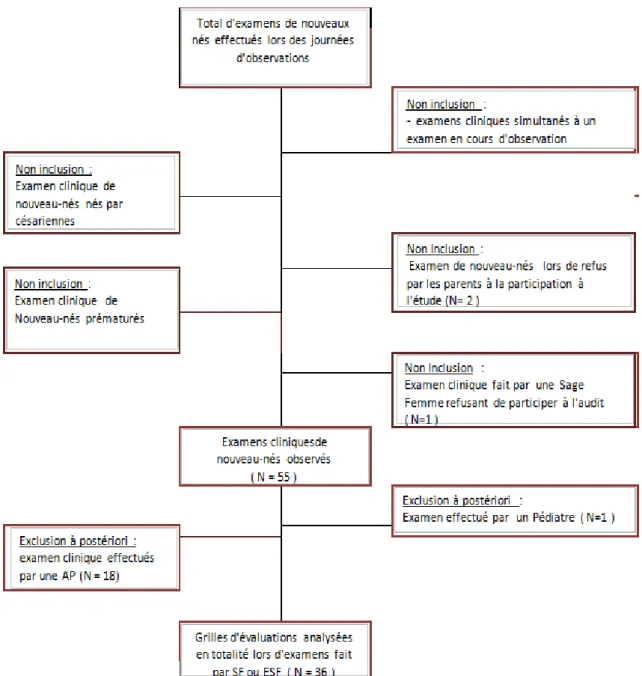 Figure 1 : Diagramme d’inclusion :  