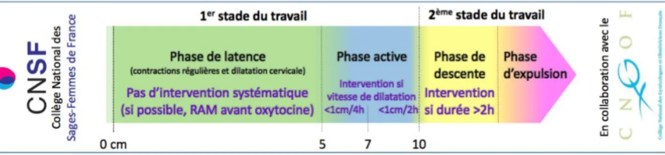 Figure 3 : Iconographie sur les étapes du travail [2] 