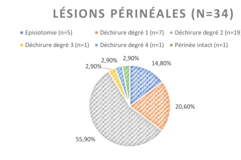 Figure 3 : Répartition des différents types de lésions périnéales dans la population « voie  basse » 