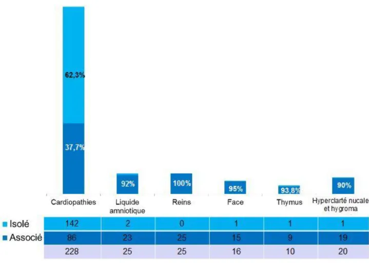 Figure 6: Anomalies à l'examen échographique 