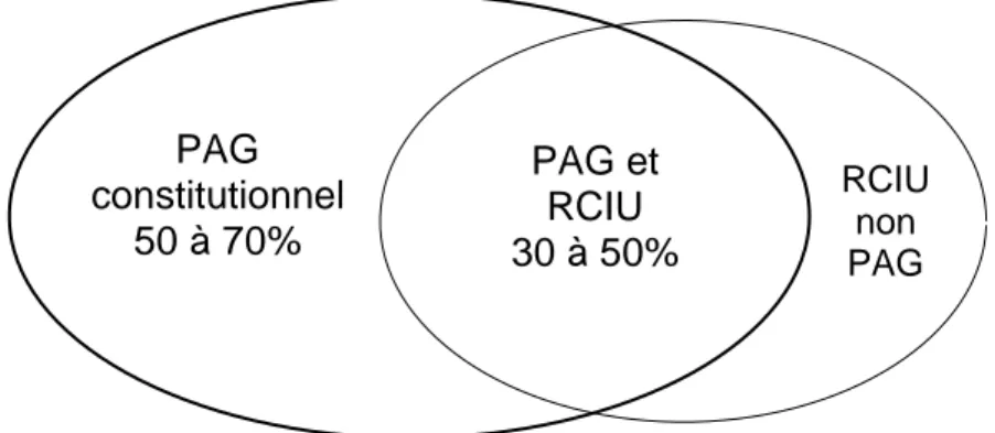 Figure 1: Regroupement PAG et RCIU 
