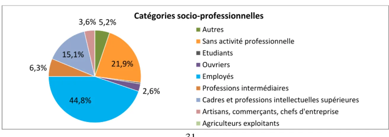 Figure 3 : catégories socio-professionnelles (n=192) 