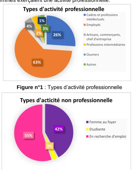 Figure n°1 : Types d’activité professionnelle 