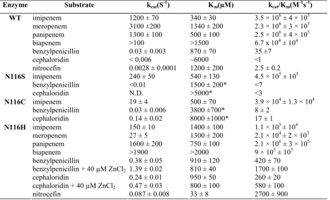 Table 2: Kinetic parameters of the wild-type enzyme (WT) and the mutants N116S, Nl 16C and N116H
