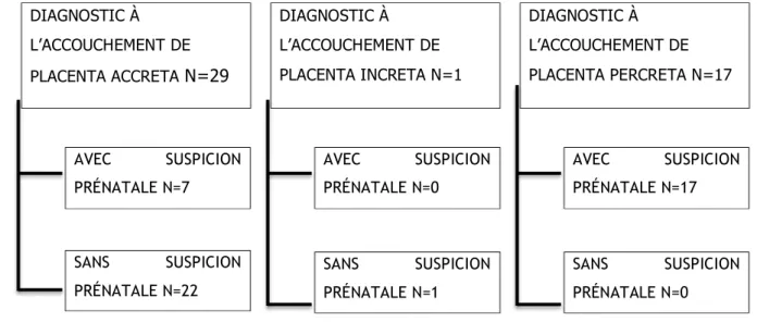 Figure 10. Diagnostic final de TIP au moment de l’accouchement  