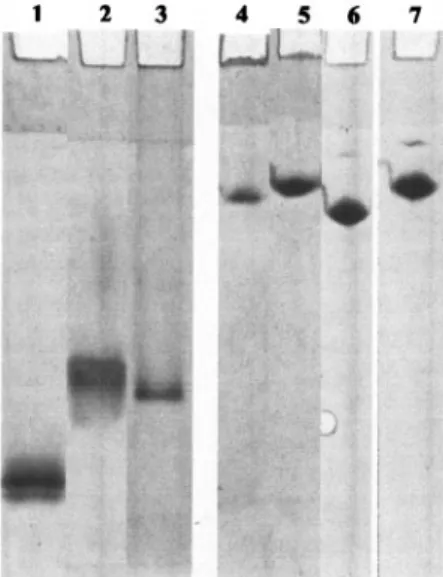 FIG. 1. MALDI-TOF mass spectra of EndoLysC peptides of mod- mod-ified AHA. Enzyme alkylated with IAA (A) or IA (B) are shown.