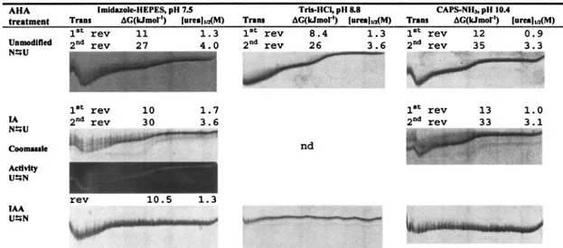 FIG. 4. Urea unfolding curves and thermodynamic parameters of unmodified, IA-modified, and IAA-modified AHA