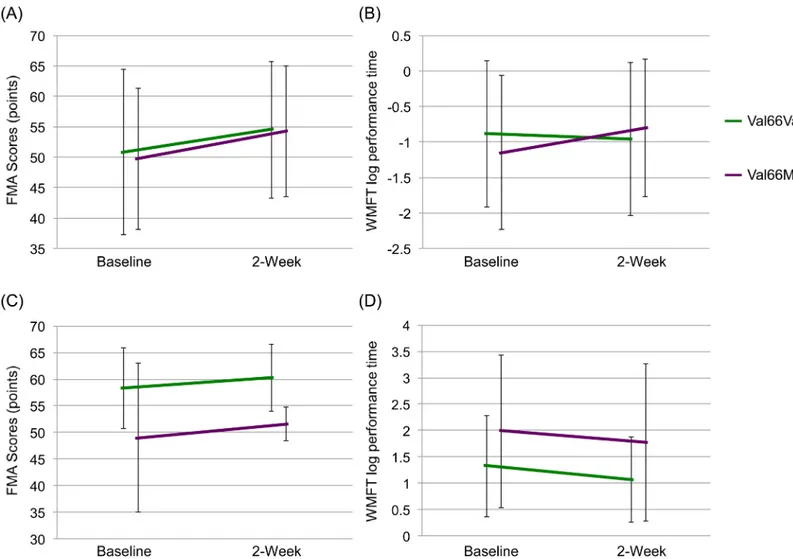 Fig 4. Effects of BDNF Val66Met gene polymorphism on FMA and WMFT log performance time