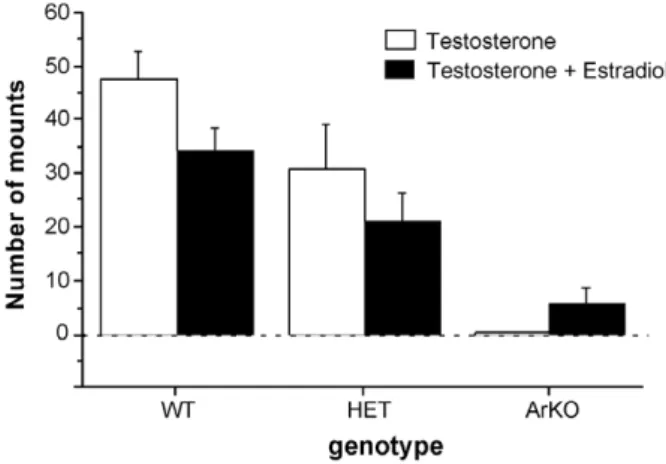 Fig. 3. Mounting behavior of female wild-type (WT), heterozygous (HET), and aromatase knockout (ArKO) mice