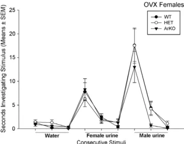 Fig. 4. Total time spent investigating volatile odors by female wild-type (WT), heterozygous (HET), and aromatase knockout (ArKO) mice when given the choice between volatile body odors from an intact male versus those from an estrous female in a Y-maze