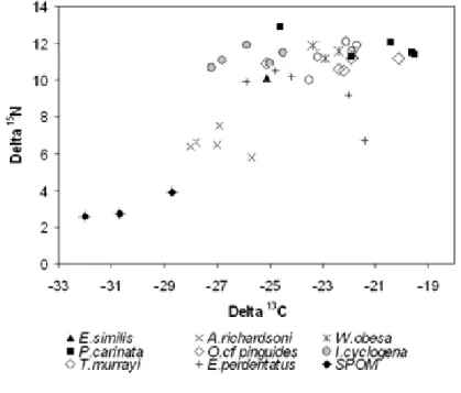 Fig. 2.3. The δ 13 C and δ 15 N stable isotope values (‰) in SPOM and in amphipods  from the eastern Weddell Sea shelf