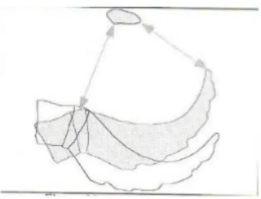 Figure 4 : La contre-nutation (Mécanique et techniques obstétricales de J-P. Schaalt) 
