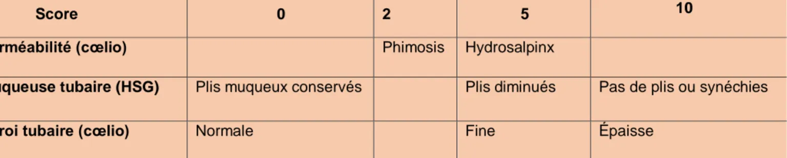 Tableau 6 : Score français d’opérabilité tubaire distale [70] 