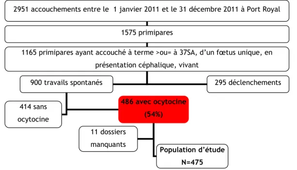 Figure 4 : Diagramme de flux des patientes incluses sur la période A c’est à dire  du 1 er  janvier 2011  au 31 décembre 2011 (Phase 1 de l’audit: mémoire de Clémence Loscul) 