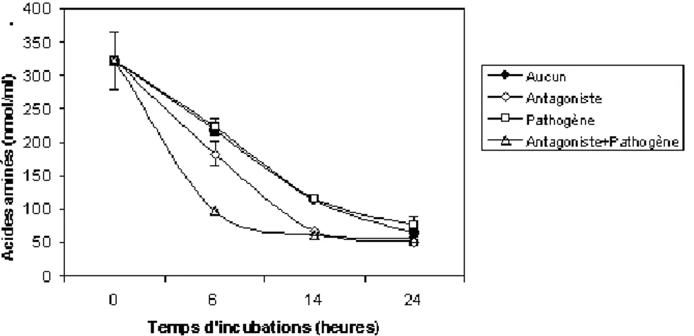 Graphique  2 :  Concentration  (nmol  /ml)  de  l’ensemble  des  acides  aminés  présents  dans  les  blessures  des  pommes  durant  les  premiers  24  h  d’incubation