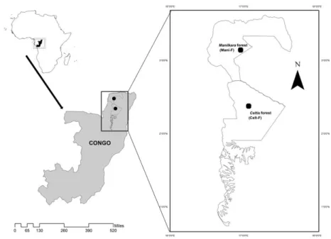 Figure  3.1.  Location  of  the  two  study  sites  in  the  forest  management  units  of  Mokabi- Mokabi-Dzanga,  Rougier  Company  (Manilkara  forest  =  Mani-F)  and  Loundoungou,  CIB/OLAM  Company (Celtis forest = Celt-F)