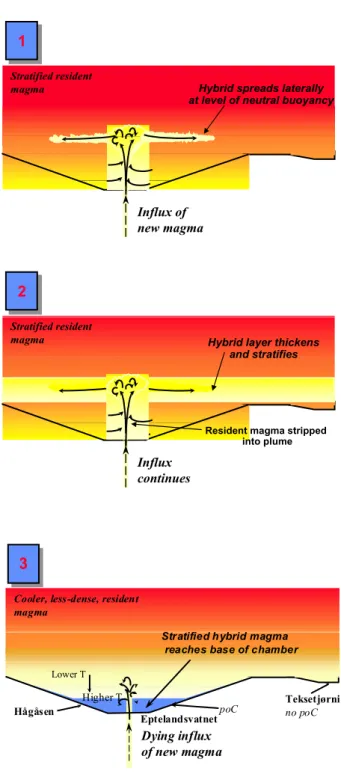 Fig. 3.6. The sequence of events during the influx of magma reflected by zones IIIa and IIIb depicted in  schematic W-E sections: A) Magma flowed in as a turbulent plume and the hybrid spread laterally some distance  above the floor of the chamber; B) The 