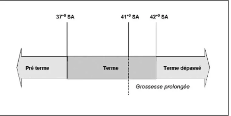 Figure 1 Définition du terme, de la grossesse prolongée et du terme dépassé   d'après Le Ray et al