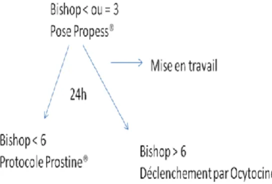 Figure 4: Schéma  du protocole de maturation cervicale par Propess® 