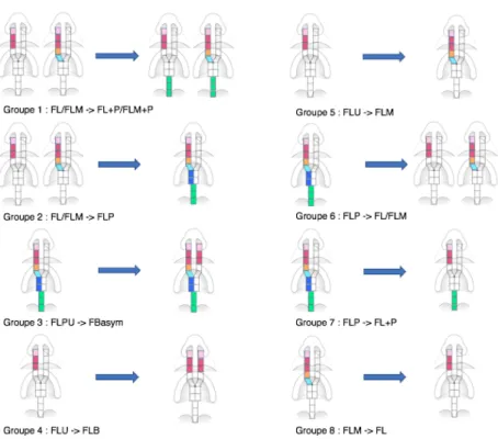 Figure 5 : Groupes des combinaisons d'erreur 