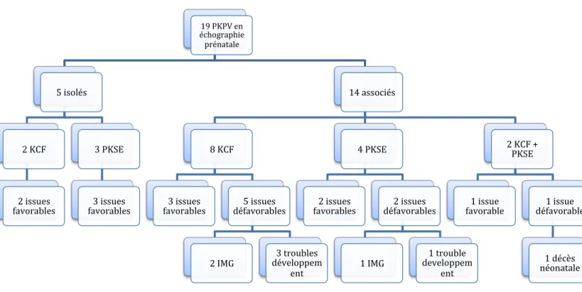 Figure   6   :   Organigramme   illustrant   la   composition   de   la   population   d'étude