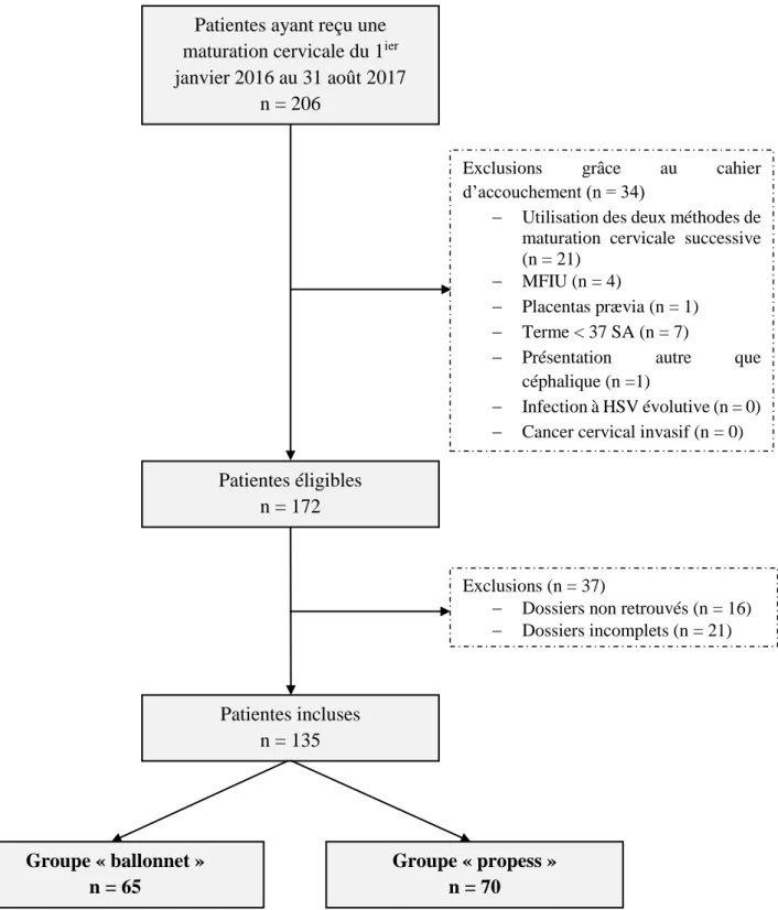 Figure 1 : diagramme d’inclusion des patientes  Patientes ayant reçu une  maturation cervicale du 1 ier janvier 2016 au 31 août 2017  n = 206  Patientes éligibles  n = 172  Patientes incluses  n = 135 