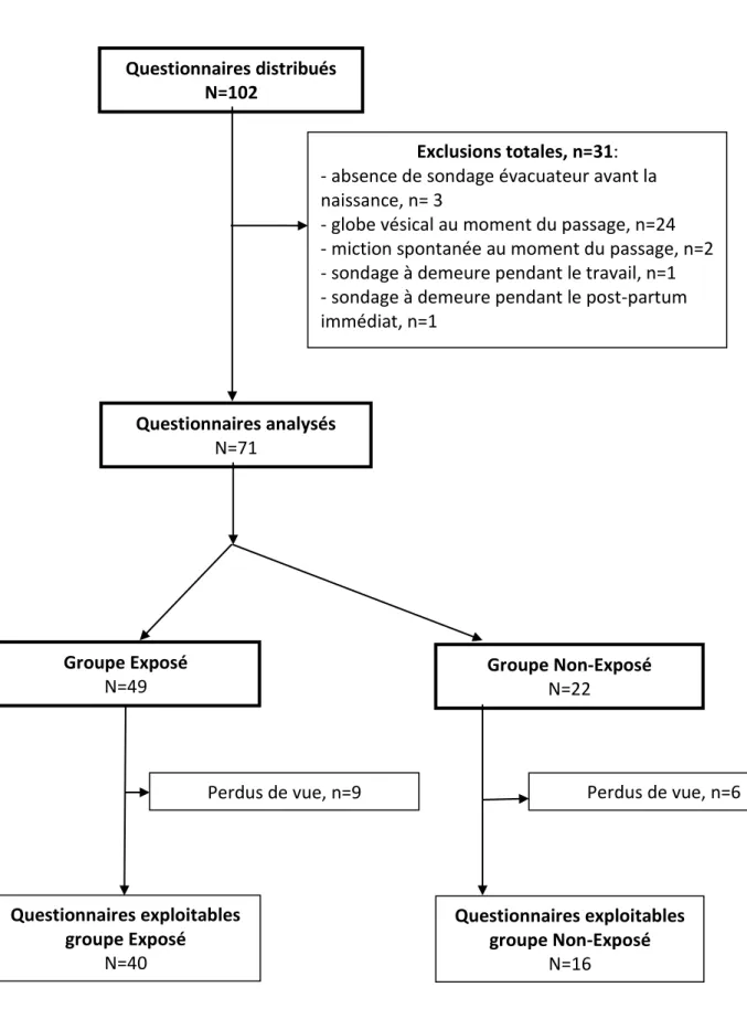 Figure I: Population d'analyse Questionnaires distribués 