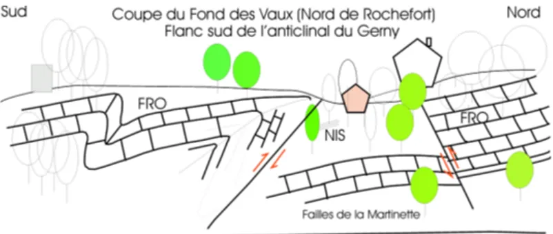 Figure  8.  Coupe  schématique  du  Fond  des  Vaux  (Nord  de  Rochefort)  montrant  le  flanc  sud  de  l’anticlinal  du  Gerny  dérangé par les failles de la Martinette
