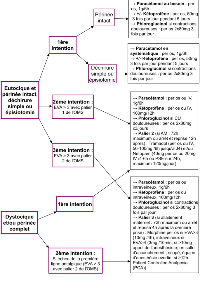 Figure 1 : Diagramme de prise en charge de la douleur en cas d'accouchement par voie basse eutocique  (protocole « Analgésie de la mère en maternité »).