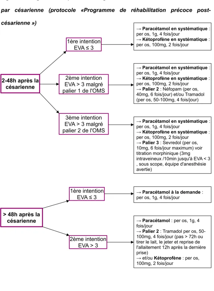 Figure 2 : Diagramme de prise en charge de la douleur en cas d'accouchement par   césarienne   (protocole   «Programme   de   réhabilitation   précoce    post-césarienne »)