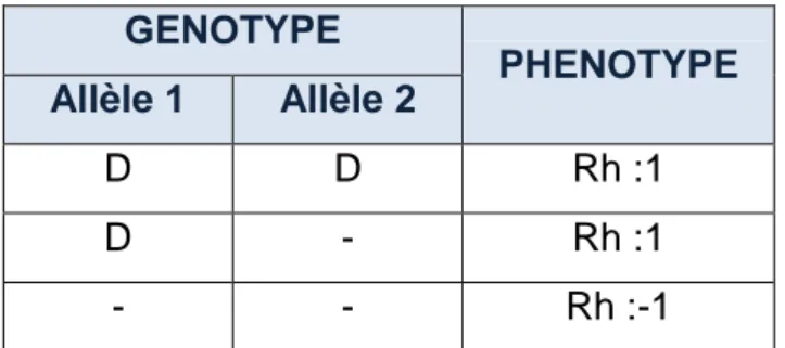 Tableau 1 : Relation entre le phénotype et le génotype Rh :1 