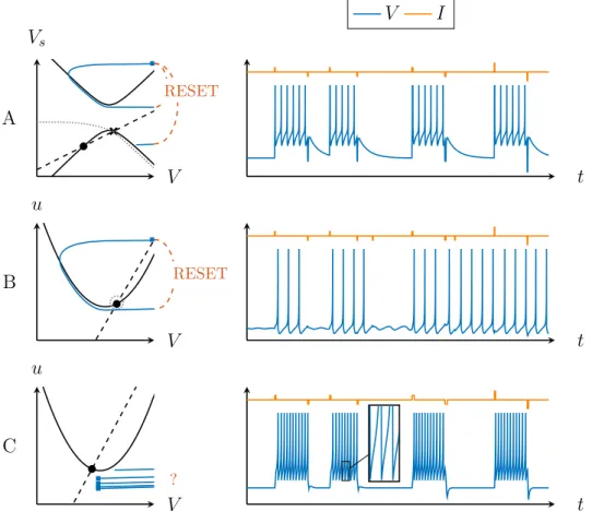 Figure 5: Bistability in the MQIF and Izhikevich models. Phase portraits (left) and current pulse responses (right) show robust and physiological  bista-bility in the MQIF model (top)