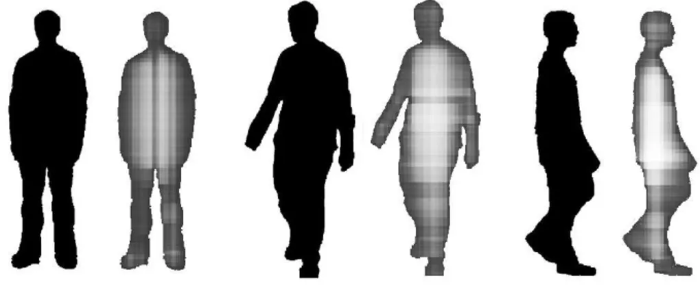 Fig. 4. Examples of rectangles size distributions for human shaped silhouettes. The pixel intensities account for the number of overlapping rectangles that cover each location in the image.