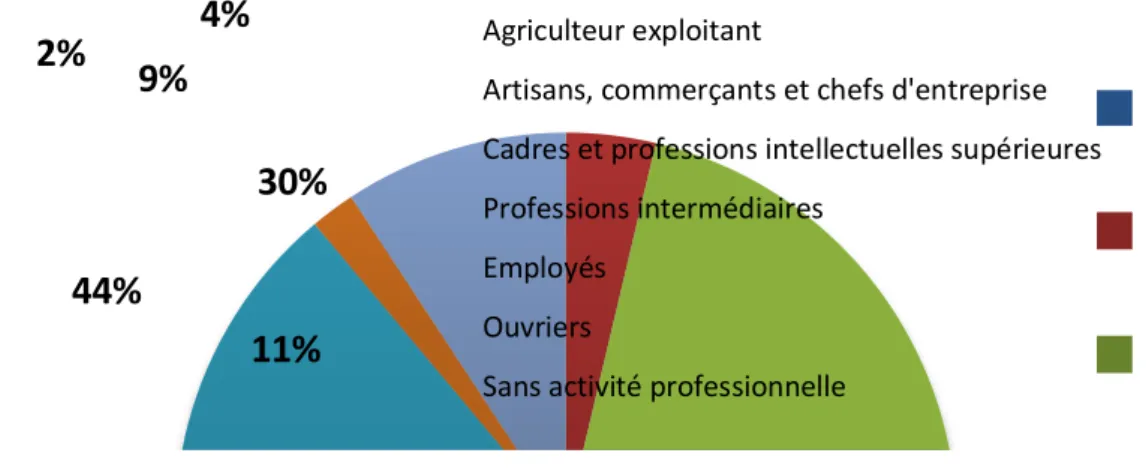 Figure 2 : Catégorie socio-professionnelle 