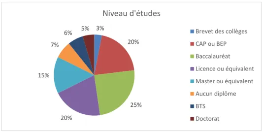 Figure 5 - Graphique des niveaux d'études 