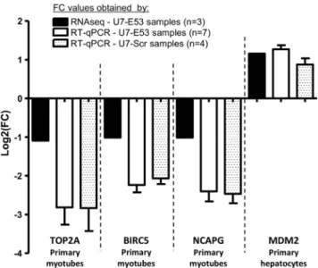 Figure 5. Validation of Some Differentially Expressed Genes through qRT- qRT-PCR in Human Primary Myotubes and Hepatocytes Transduced or Not with rAAV3b-U7-E53 or rAAV3b-U7-Scr