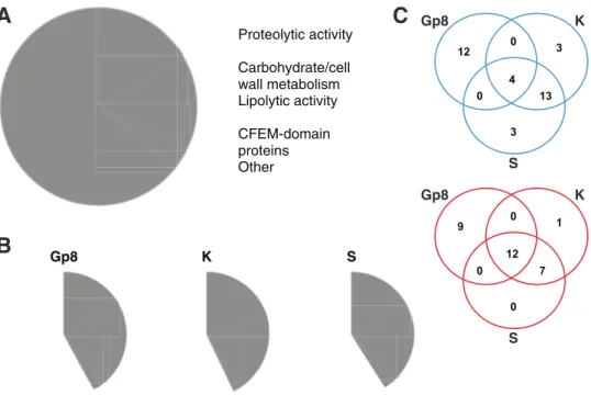 FIG 3 Characterization of the secretome. (A) Pie chart showing the main functional groups identified within the 457 proteins of the secretome