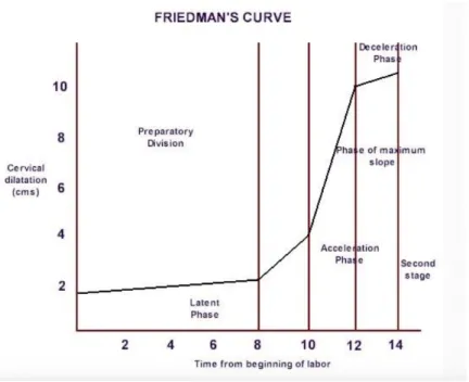 Figure 1 : Courbe de dilatation cervicale de Friedman 