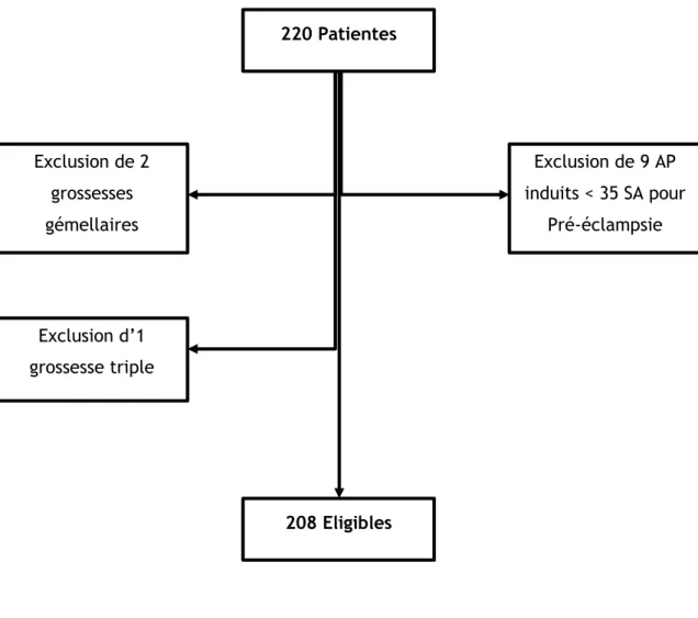 Figure 1 : Profil de l’étude 