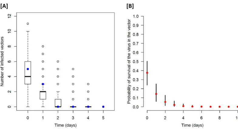 Fig 2. Reported and posterior predicted numbers of infected vectors [A] and Posterior probability of LSDV surviving in Stomoxys calcitrans [B]